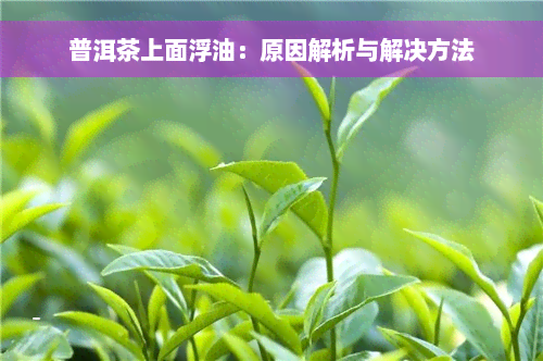 普洱茶上面浮油：原因解析与解决方法