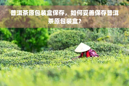 普洱茶原包装盒保存，如何妥善保存普洱茶原包装盒？