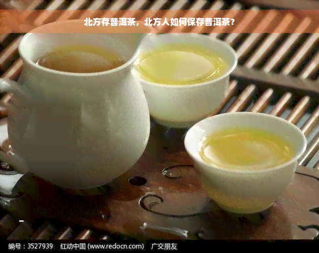 北方存普洱茶，北方人如何保存普洱茶？