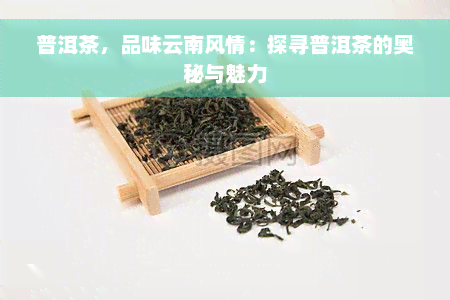 普洱茶，品味云南风情：探寻普洱茶的奥秘与魅力