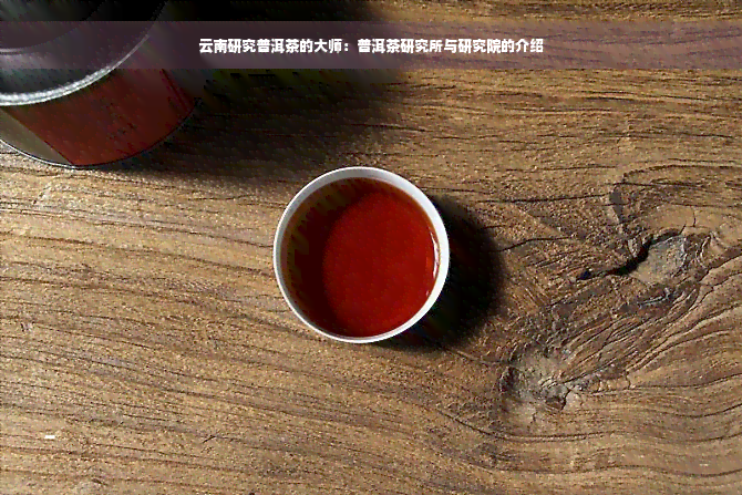 云南研究普洱茶的大师：普洱茶研究所与研究院的介绍