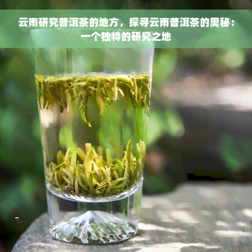 云南研究普洱茶的地方，探寻云南普洱茶的奥秘：一个独特的研究之地