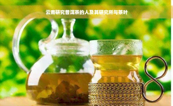 云南研究普洱茶的人及其研究所与茶叶