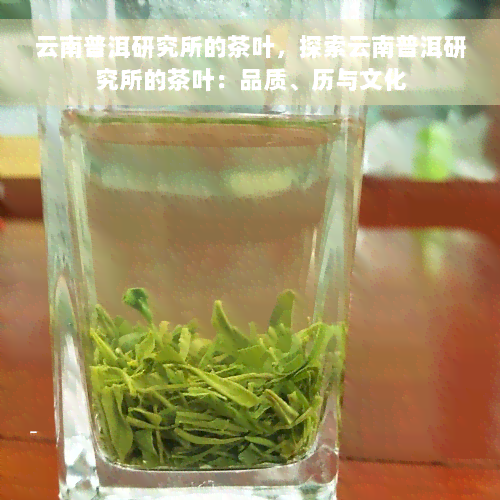 云南普洱研究所的茶叶，探索云南普洱研究所的茶叶：品质、历与文化