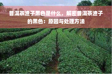 普洱茶渣子黑色是什么，解密普洱茶渣子的黑色：原因与处理方法