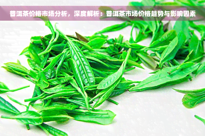 普洱茶价格市场分析，深度解析：普洱茶市场价格趋势与影响因素