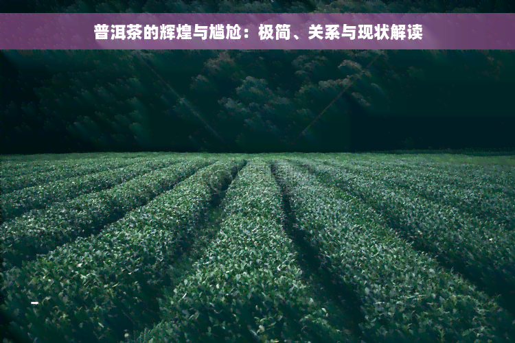 普洱茶的辉煌与尴尬：极简、关系与现状解读