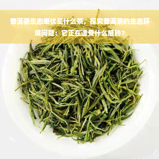 普洱茶生态堪忧是什么茶，探究普洱茶的生态环境问题：它正在遭受什么威胁？