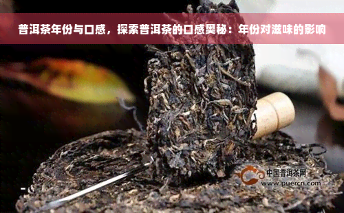 普洱茶年份与口感，探索普洱茶的口感奥秘：年份对滋味的影响