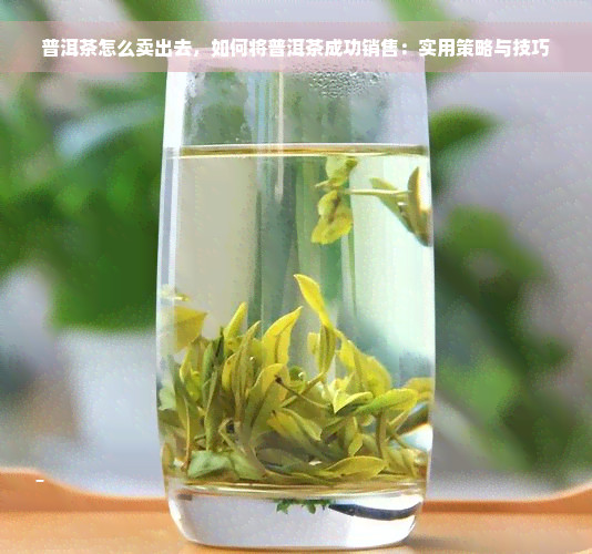 普洱茶怎么卖出去，如何将普洱茶成功销售：实用策略与技巧