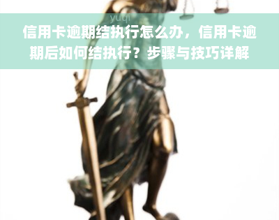 信用卡逾期结执行怎么办，信用卡逾期后如何结执行？步骤与技巧详解