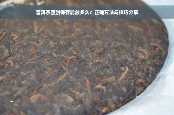 普洱茶塑封保存能放多久？正确方法与技巧分享