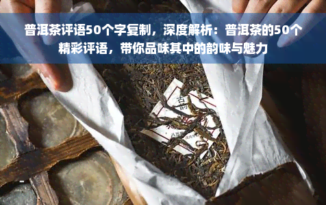 普洱茶评语50个字复制，深度解析：普洱茶的50个精彩评语，带你品味其中的韵味与魅力