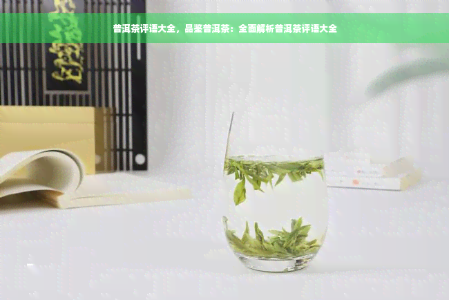 普洱茶评语大全，品鉴普洱茶：全面解析普洱茶评语大全