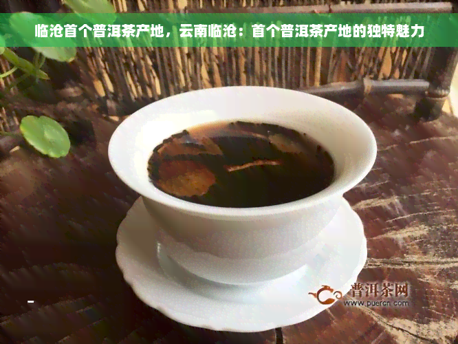 临沧首个普洱茶产地，云南临沧：首个普洱茶产地的独特魅力