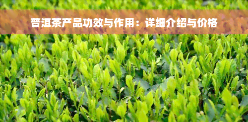 普洱茶产品功效与作用：详细介绍与价格