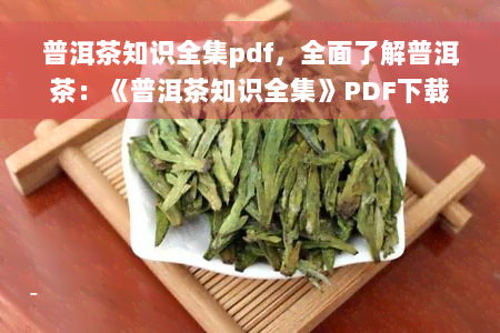 普洱茶知识全集pdf，全面了解普洱茶：《普洱茶知识全集》PDF下载