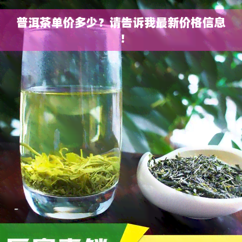 普洱茶单价多少？请告诉我最新价格信息！