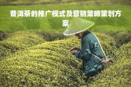 普洱茶的推广模式及营销策略策划方案