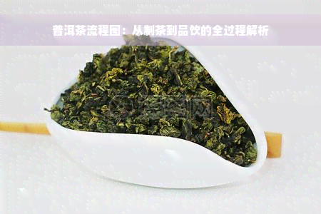 普洱茶流程图：从制茶到品饮的全过程解析