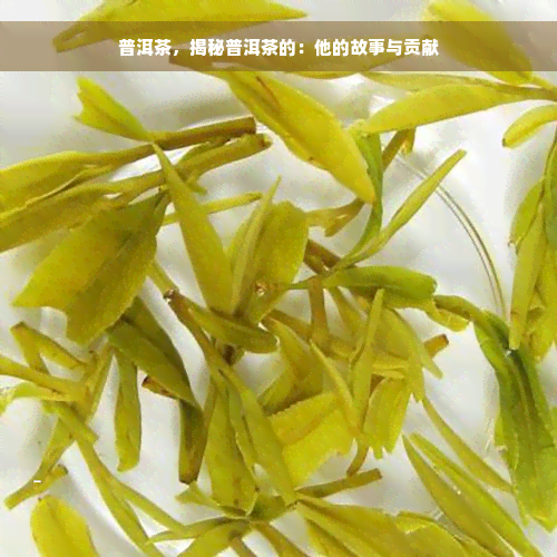 普洱茶，揭秘普洱茶的：他的故事与贡献