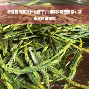 故宫普洱茶是什么牌子，揭秘故宫普洱茶：故事与品鉴体验