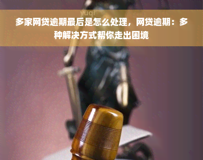 多家网贷逾期最后是怎么处理，网贷逾期：多种解决方式帮你走出困境