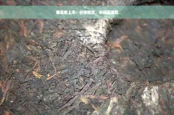 普洱茶上市：价格稳定，市场需求旺