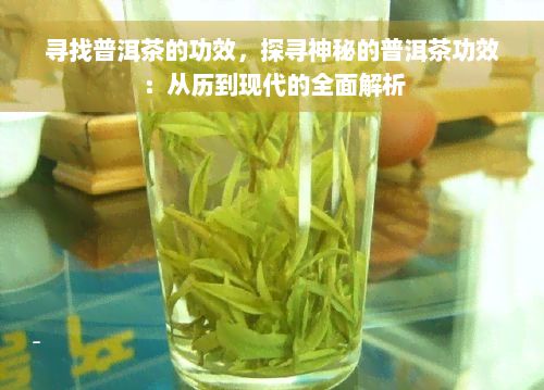 寻找普洱茶的功效，探寻神秘的普洱茶功效：从历到现代的全面解析