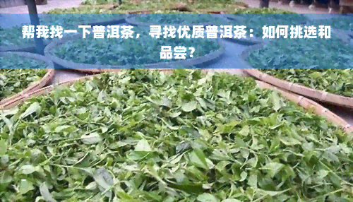 帮我找一下普洱茶，寻找优质普洱茶：如何挑选和品尝？