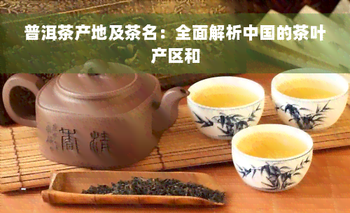 普洱茶产地及茶名：全面解析中国的茶叶产区和