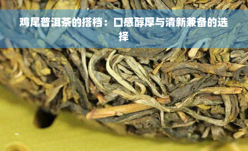 鸡尾普洱茶的搭档：口感醇厚与清新兼备的选择