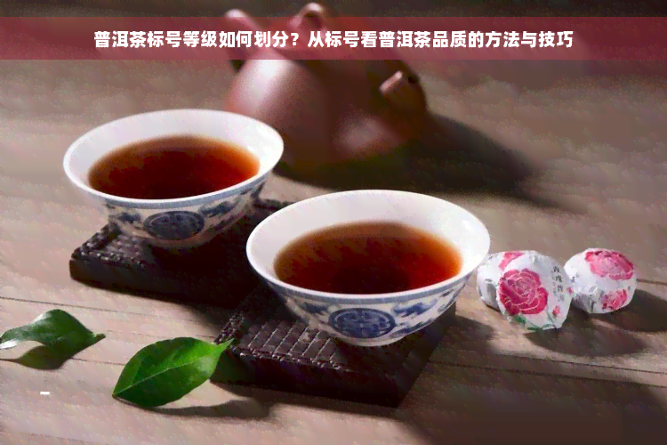 普洱茶标号等级如何划分？从标号看普洱茶品质的方法与技巧