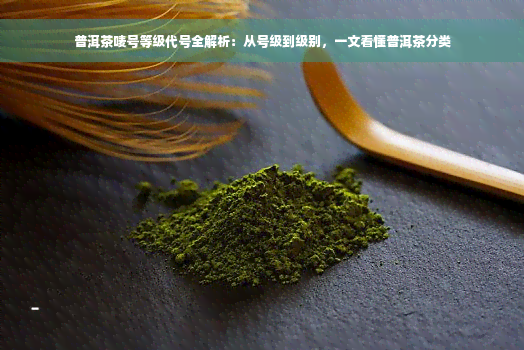 普洱茶唛号等级代号全解析：从号级到级别，一文看懂普洱茶分类