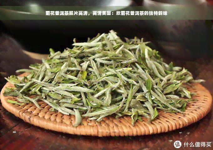 菊花普洱茶照片高清，高清美图：欣菊花普洱茶的独特韵味