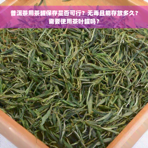 普洱茶用茶罐保存是否可行？无毒且能存放多久？需要使用茶叶罐吗？