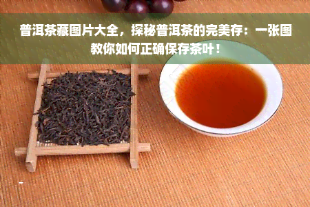 普洱茶藏图片大全，探秘普洱茶的完美存：一张图教你如何正确保存茶叶！