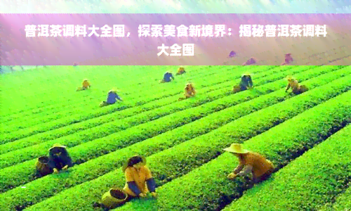 普洱茶调料大全图，探索美食新境界：揭秘普洱茶调料大全图