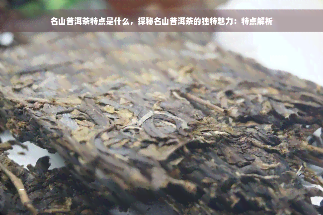 名山普洱茶特点是什么，探秘名山普洱茶的独特魅力：特点解析