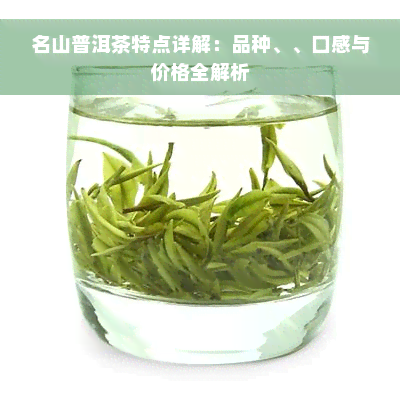 名山普洱茶特点详解：品种、、口感与价格全解析