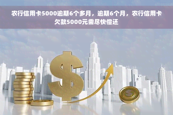 农行信用卡5000逾期6个多月，逾期6个月，农行信用卡欠款5000元需尽快偿还