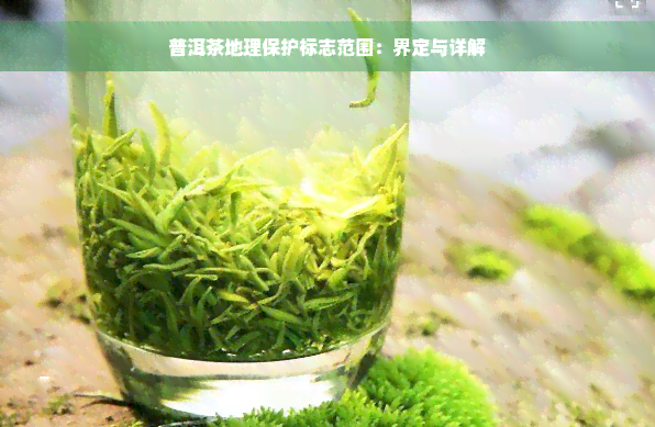 普洱茶地理保护标志范围：界定与详解