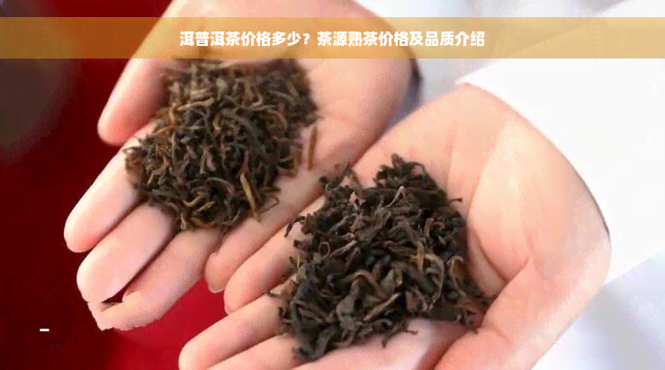 洱普洱茶价格多少？茶源熟茶价格及品质介绍