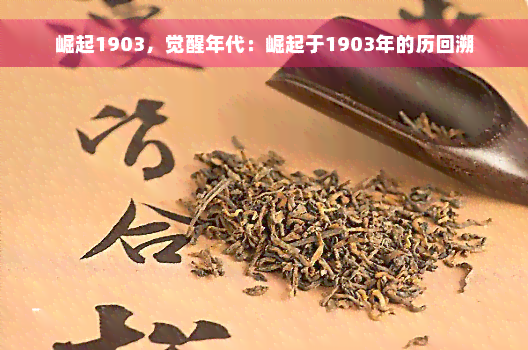 崛起1903，觉醒年代：崛起于1903年的历回溯