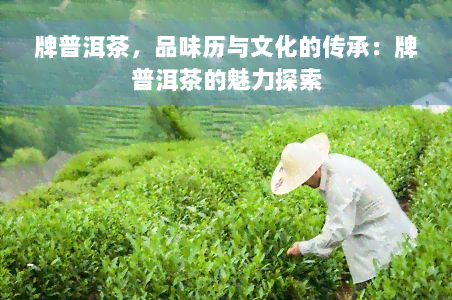 牌普洱茶，品味历与文化的传承：牌普洱茶的魅力探索