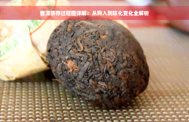 普洱茶存过程图详解：从购入到陈化变化全解析