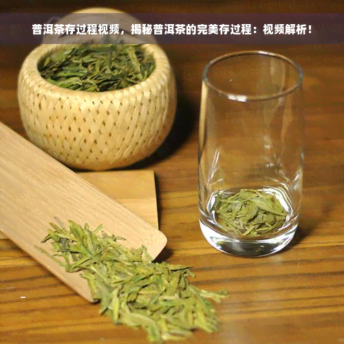 普洱茶存过程视频，揭秘普洱茶的完美存过程：视频解析！