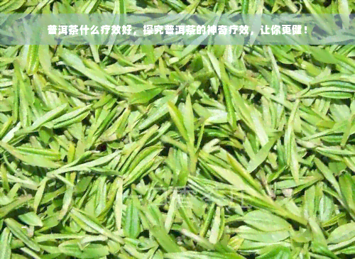 普洱茶什么疗效好，探究普洱茶的神奇疗效，让你更健！