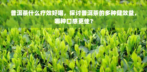 普洱茶什么疗效好喝，探讨普洱茶的多种健效益，哪种口感更佳？