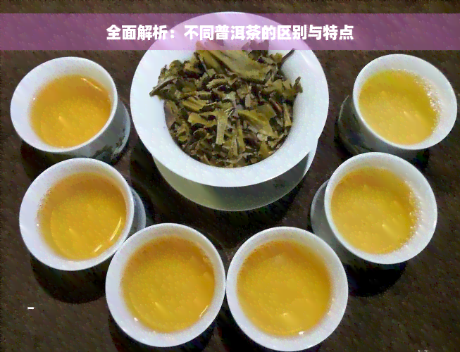 全面解析：不同普洱茶的区别与特点